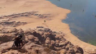 Burning Bush  Assassins Creed Origins  Papyri Puzzle [upl. by Oiludbo684]