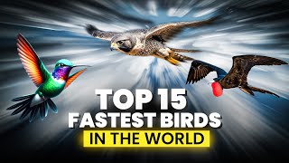 The 15 Fastest Birds in the World  Birds that Fly the Fastest  Top 15 Fast Birds  Birdie Learning [upl. by Anifesoj587]