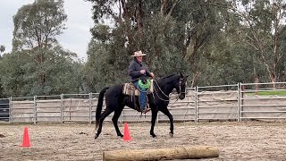 Bridle Horse Clinic  Gerogery NSW  Part 2 [upl. by Eimilb968]