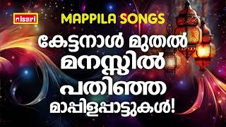 Mappilapattukal  Mappila Pattukal Malayalam  Malayalam Mappila Songs  Old Mappilappattukal [upl. by Aleac]