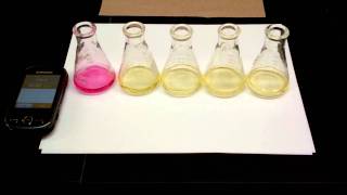 Hydrolysis of tButylChloride Kinetics Experiment 5 SN1 Reaction [upl. by Ten]