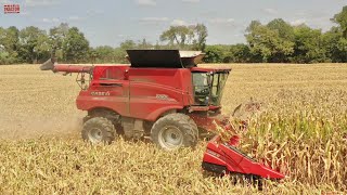 FIRST DAY of Corn Harvest 2021  CASE IH 9250 Combines [upl. by Astri573]