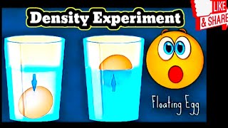 Water Salt Density Science Experiment Egg salt experiment Baloon Water Presure 🧪🧪🧪 [upl. by Imhskal]