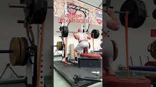 455 Box Squats elitefts westsidebarbell conjugate glutes quads [upl. by Efron]