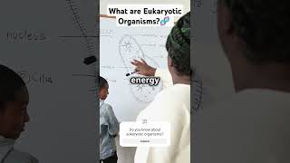 What are Eukaryotic Organisms 🧬 trendingvideos ecoconservation science GCSE NCERT trending [upl. by Meggie]