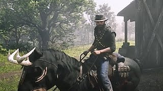 Red Dead Online Moonshine Delivery in New Hanover [upl. by Analle871]