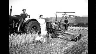 A Family Farm Life on an Illinois Dairy Farm [upl. by Neufer553]