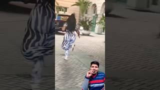 Zebra running on the track 😱😱 funny zebra comedy prank dance [upl. by Nylrem743]