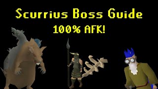 Scurrius Boss Guide 100 AFK  MrBabyHandsome [upl. by Dirgni]