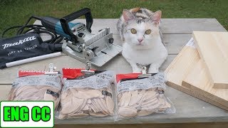 DIYで猫部屋の壁に手作りキャットウォーク part2 新アイテムマキタジョイントカッター【Eng CC】 [upl. by Gnok882]