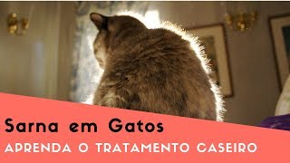 Sarna Em Gatos Tratamento Caseiro [upl. by Edieh]