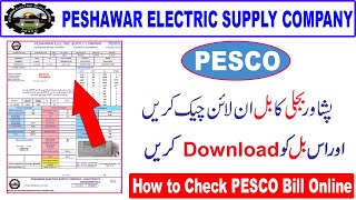 PESCO Online Bill  Electricity Bill Online Check Pesco  PESCO Duplicate Bill [upl. by Vona]