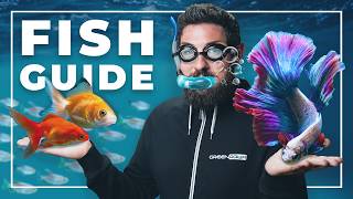 How to CHOOSE the PERFECT FISH for Your Aquarium [upl. by Nivag529]