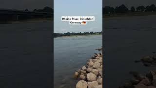 Germanys biggest river 🇩🇪🇩🇪 rheine düsseldorf germany shorts [upl. by Acker]