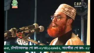 Delwar Hossain Sayeedi Allah Siristir Bishalota [upl. by Eelame38]