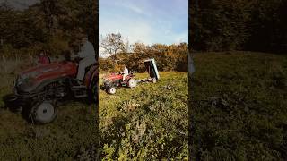 Solis tractor performance automobile offroad solis farming solistractors agriculture farmlife [upl. by Anstice]