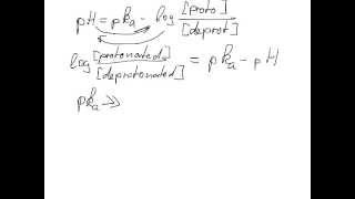 When is the side chain of an amino acid protonated [upl. by Seko]