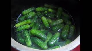 Crock Canning Sweet Gherkin Pickles [upl. by Kubis]