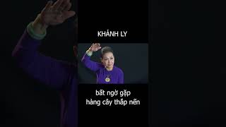 Khánh Ly bất ngờ gặp quothàng cây thắp nến lên 2 hàngquot [upl. by Lledner212]