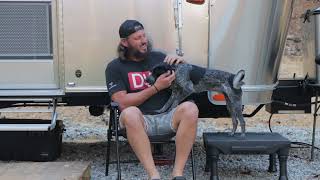 Man and Puppy Tow Airstream To Their Homestead  Preparing For Full Time Off Grid Living [upl. by Fishbein]