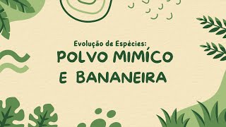 Vídeo Biologia Evolução do Polvo e Bananeira [upl. by Gayn802]