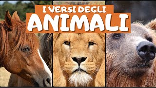 I versi degli animali per bambini Animali veri – Bambini imparano versi degli animali Zoo Play Kids [upl. by Theall]