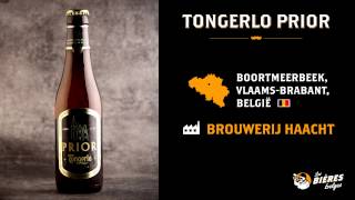 Tongerlo Prior  Bière belge  Belgian beer [upl. by Eelanaj]