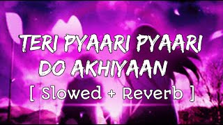 Teri Pyaari Pyaari Do Akhiyaan  Slowed  Reverb  Bhinda A amp Bobby L  LoveShineVibes [upl. by Liagabba61]