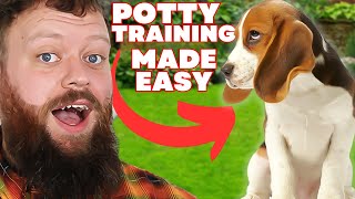 How To Potty Train Your Puppy Easily [upl. by Aramac]