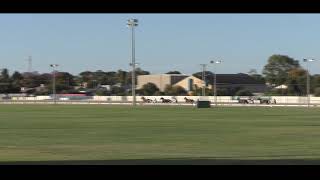 Mildura Harness Racing Club 28 Oct 2024 Trial 3 [upl. by Enelym93]