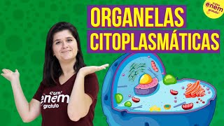 ORGANELAS CITOPLASMÁTICAS CITOLOGIA  Resumo de Biologia para o Enem [upl. by Lecram272]