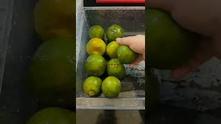 Fridge organizationHow I kept fruits and veggies in refrigeratorSubscribe my channelshorts vlog [upl. by Guevara]