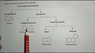 Polynuclear hydrocarbons introduction B Pharm 3rd sem Pharm org chemII BP301T UnitIV [upl. by Eihs]