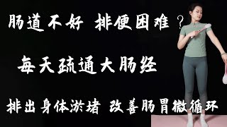 腸道不好，排便困難？ 每天疏通大腸經，排出身體淤堵，改善腸胃微循環！疏通大腸經健康養生養生功法 [upl. by Greenebaum]