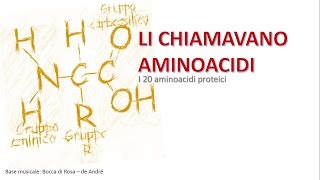 AMINO ACID SONG  Li chiamavano aminoacidi [upl. by Htebezile]