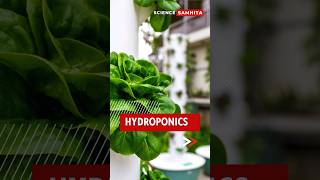 What is Hydroponics Explained in 1 Minute hydroponics [upl. by Otanutrof]