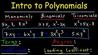 Polynomials  Classifying Monomials Binomials amp Trinomials  Degree amp Leading Coefficient [upl. by Aramak]