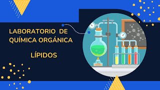 Práctica de laboratorio Lipidos [upl. by Vary242]