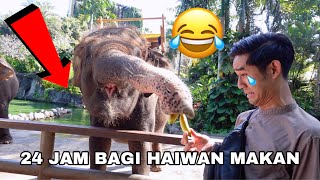 24 JAM BAGI SEMUA JENIS HAIWAN MAKAN DI ZOO 😂🐘 ILIYA BAGI HARIMAU MAKAN 🐅 [upl. by Eihs858]