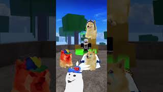 Doge got help from admin🥰 doge roblox bloxfruits [upl. by Koral510]