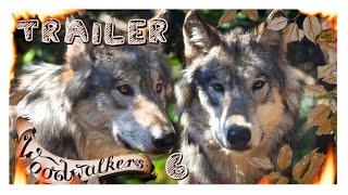 Buchtrailer Woodwalkers 6 [upl. by Sharlene]