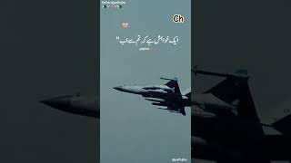 Pak air Force PAF GD pilot video full trending foryou [upl. by Lustig]