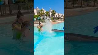 Dolphins splashing water on us and kids it so cute very adorable [upl. by Sissy]