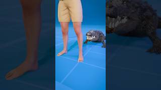 How To Escape An Alligator Death Roll 😨  Melon Playground alligator [upl. by Hilary]