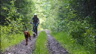 Bikepacking The Trans Canada Trail amp Kettle Valley Railtrail  2020 update 27 [upl. by Aelem893]