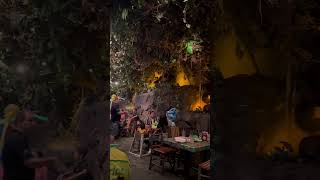 Rainforest cafe flyp cafe foryou travel ontario california flymusic [upl. by Baerman]