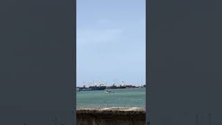 Cape Verde Praia Harbor shorts travel africa [upl. by Noirret]