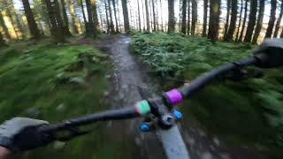 Bike Park Wales  Popty Ping  Hotstepper  Terrys Belly [upl. by Hcelemile]