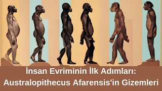 İnsan Evriminin İlk Adımları Australopithecus Afarensisin Gizemleri teknopusula1 [upl. by Enilarac78]