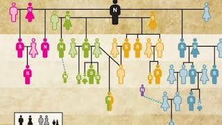 Worlds oldest family tree reconstructed from Stone Age tomb [upl. by Laehcar181]